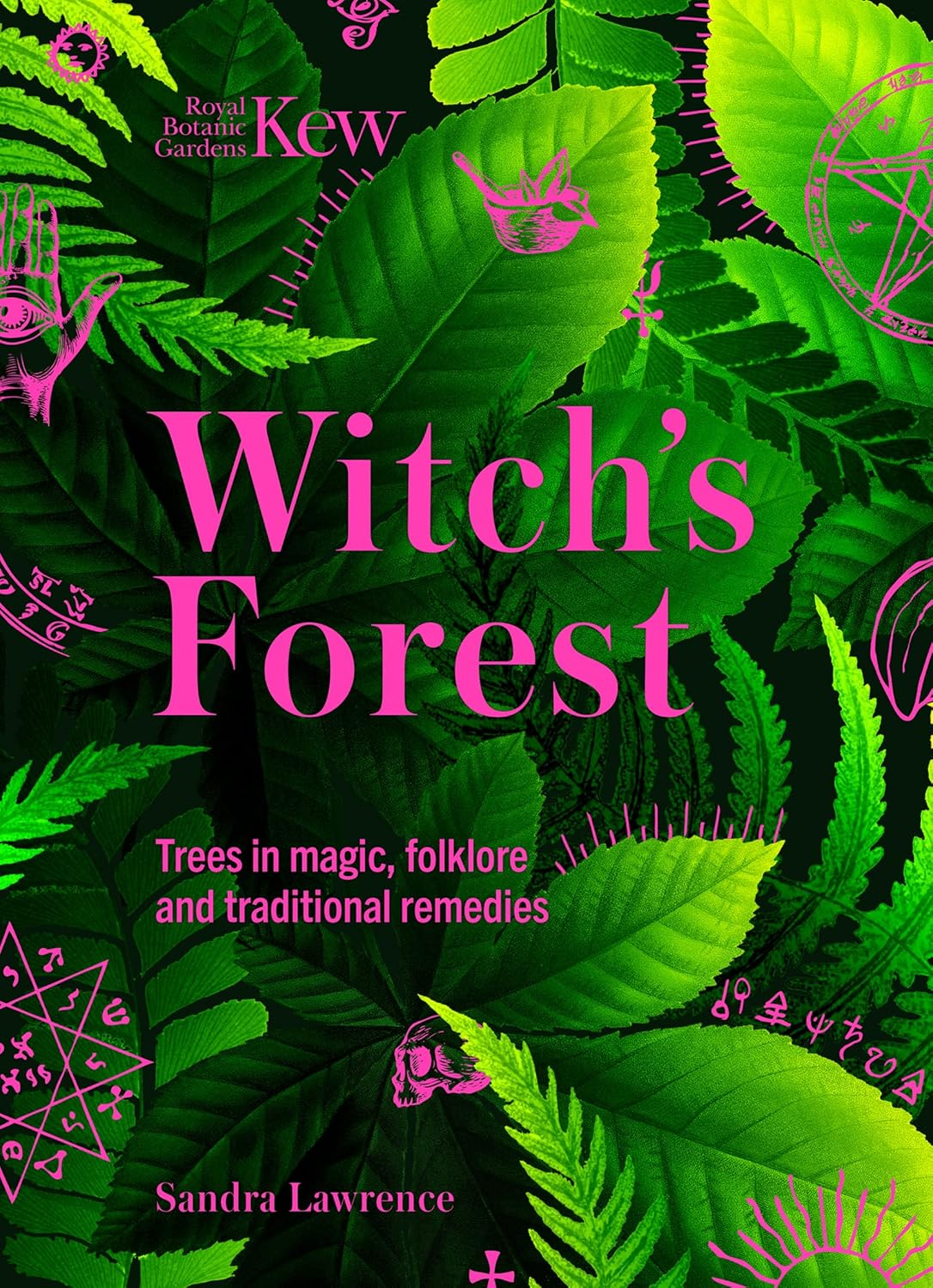 Kew - Witch'S Forest: Trees in Magic, Folklore and Traditional Remedies image number 4