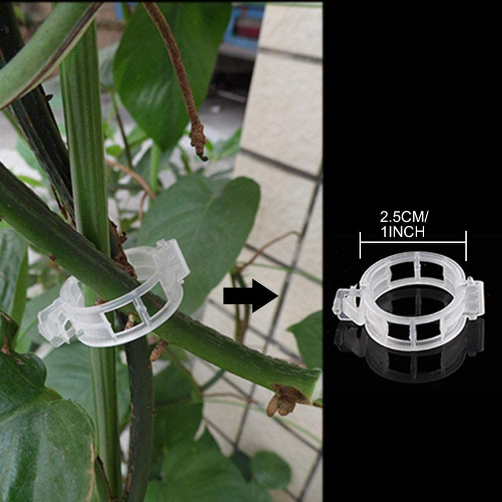100PCS Plant Support Garden Clips for Potato Vine Vegetables,Tomato Trellis Clips,Makes Garden Vegetables to Grow Upright and Healthier,White image number 2