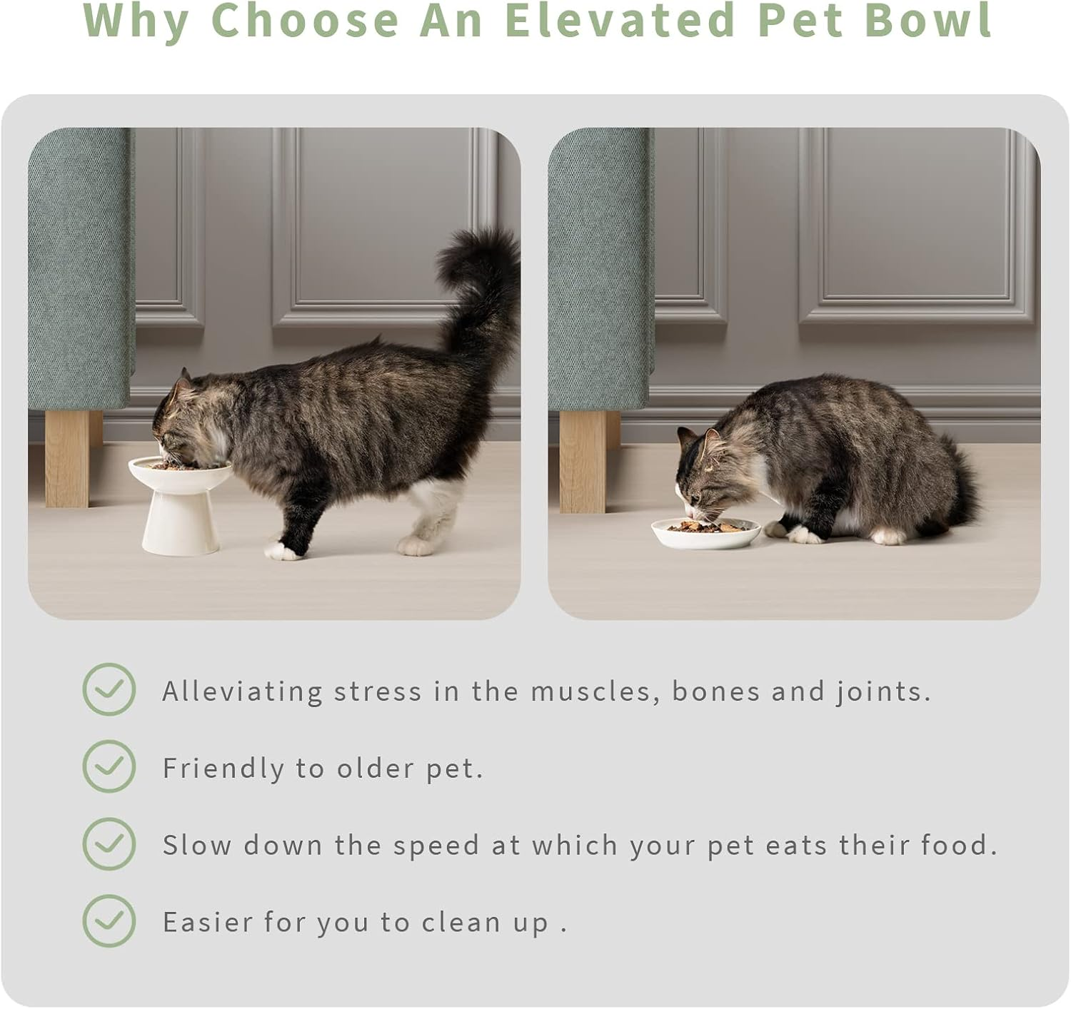 CEEFU Extra Wide Elevated Ceramic Cat Bowl, 6.2" Shallow Dish for Whisker Fatigue Relief, 5" Height for Easy Feeding, Durable Raised Cat Food Bowls, Pack of 2, White image number 5
