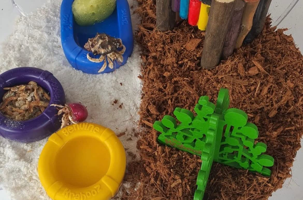 Girl Base Kitz Enclosure, K030 image number 5