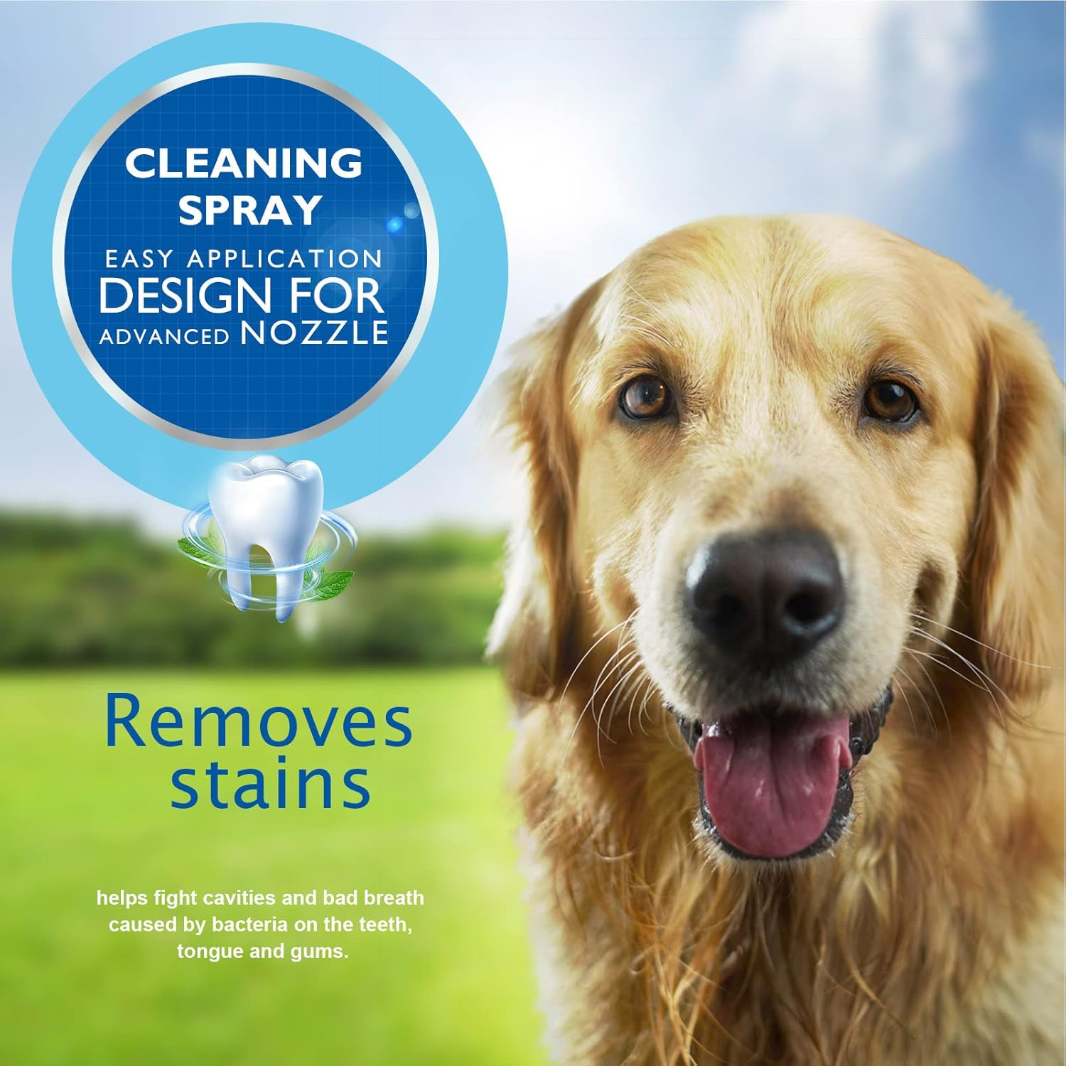 2 Pcs Pet Oral Spray - 4.2Oz Dog Breath Freshener Spray - 4.2Oz Dog Teeth Cleaning Spray Targets Build-Up, Eliminates Bad Breath, Whitens Teeth, Improves Overall Oral Health Jildouf image number 3