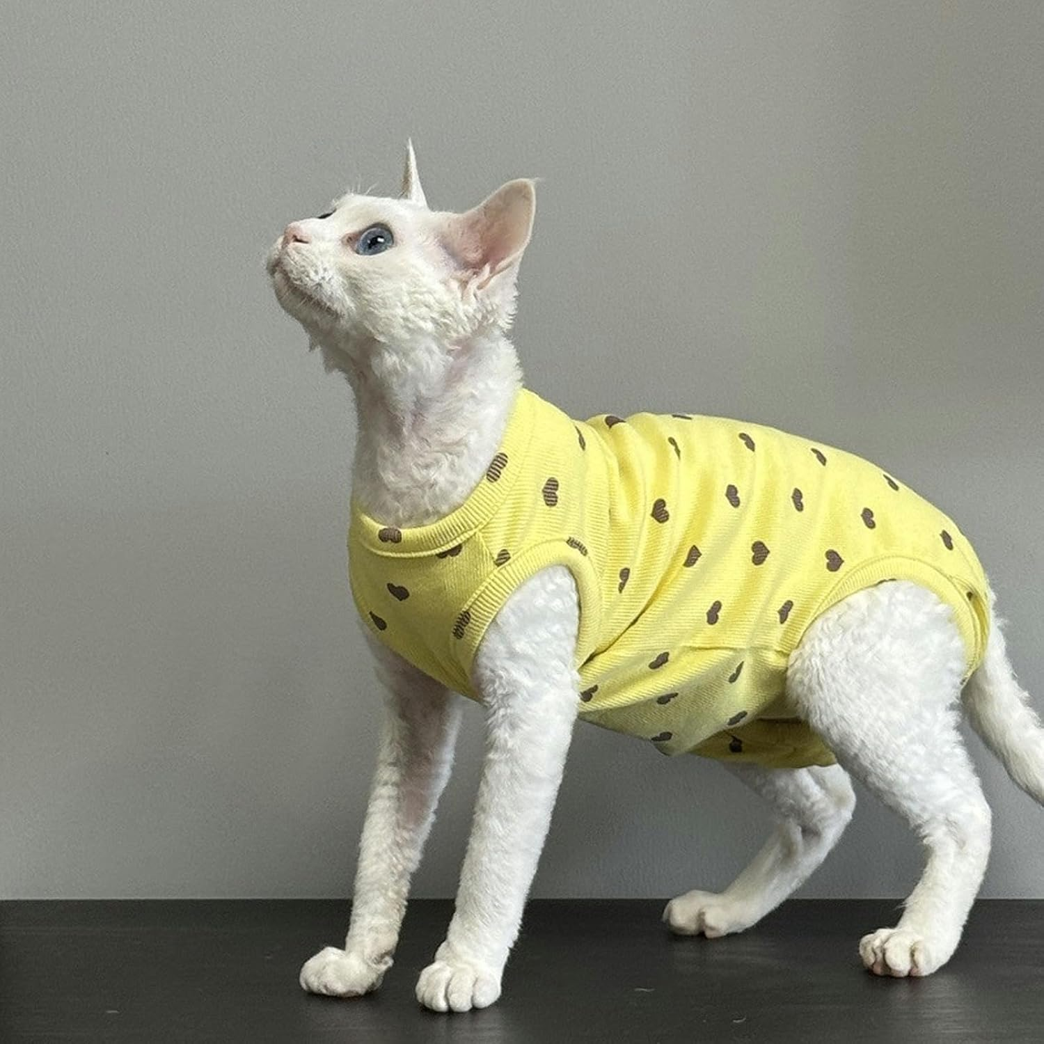 IUOUTG Sphynx Cat Clothes Hairless Cat Shirt Breathable Cotton Pet Clothes round Collar Kitten Pullover Vest Sleeveless Four Leg Cat Pajamas with Cute Heart Pattern for Cornish Rex Devon Rex image number 5