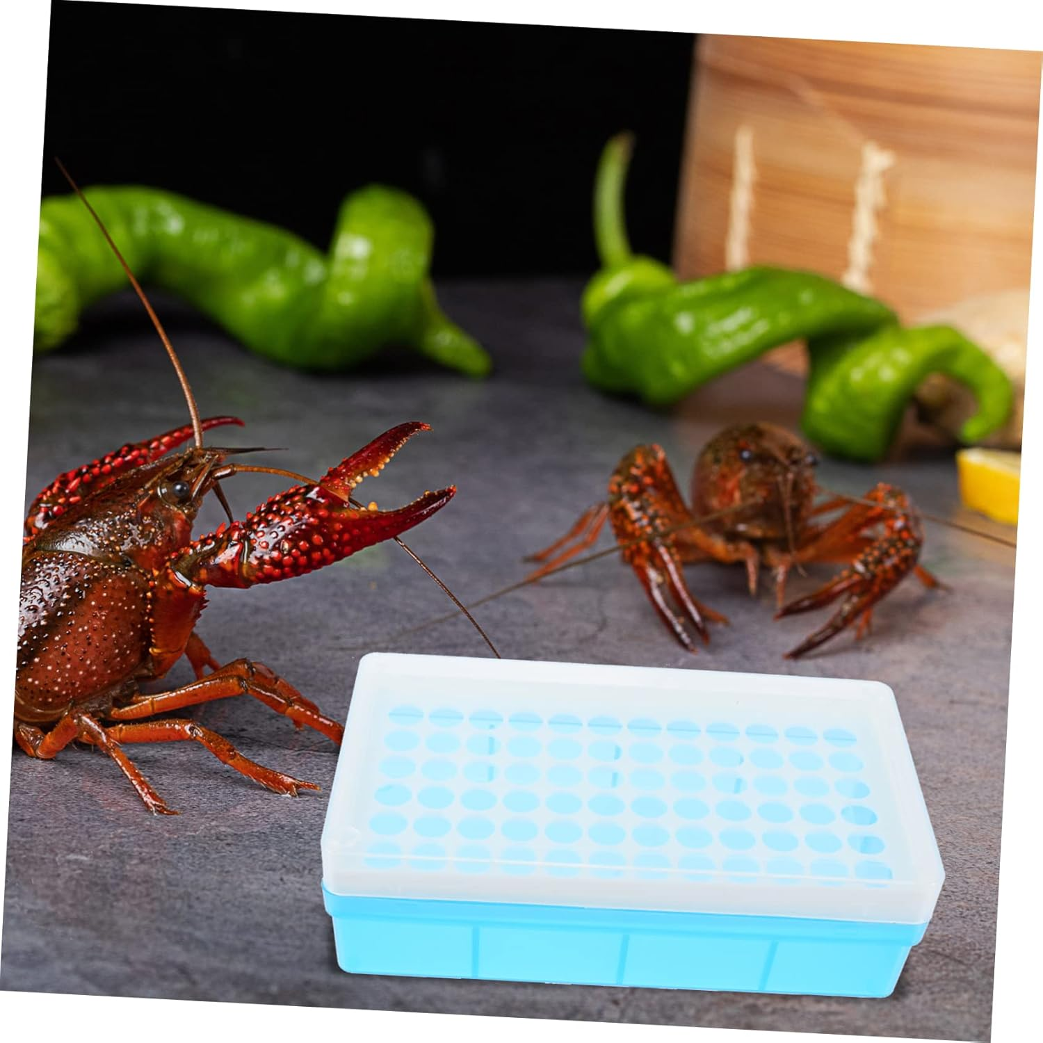 BELLIFFY Brine Shrimp Hatchery Tube and Collecting Storage Box Set, Plastic Breeding Accessories Kit with Lid for Aquarium Hatchery and Artemia Hatching, Suitable for Fish Aquatic Pets Breeding image number 4