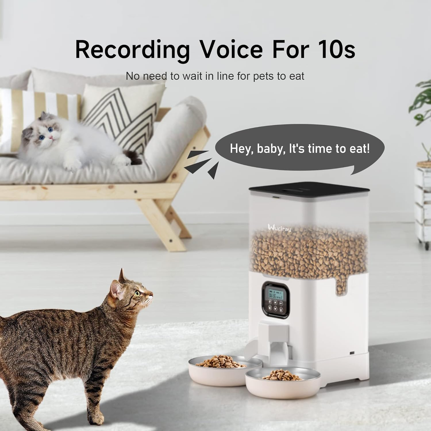 Wuciray Automatic Cat Feeder 6L, Double Pet Feeder with 2 Stainless Steel Bowls, 4 Meals per Day, 10S Voice Recorder, Timed Cat Food Dispenser with Memory Function, Lock Lid and Desiccant Bag(White) - Black image number 3