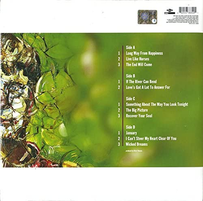 Big Picture (2Lp) image number 1