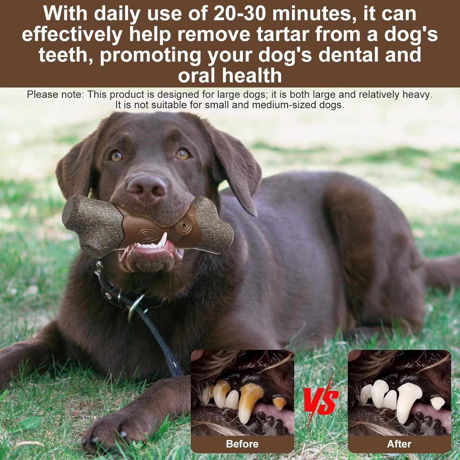 Jasonwell Dog Chew Toys for Large Medium Breed Aggressive Chewer Durable Dog Chew Toys Squeaky Dog Birthday Toy Dog Toothbrush Interactive Tough Nylon Indestructible Dog Toy for Large Dogs image number 2