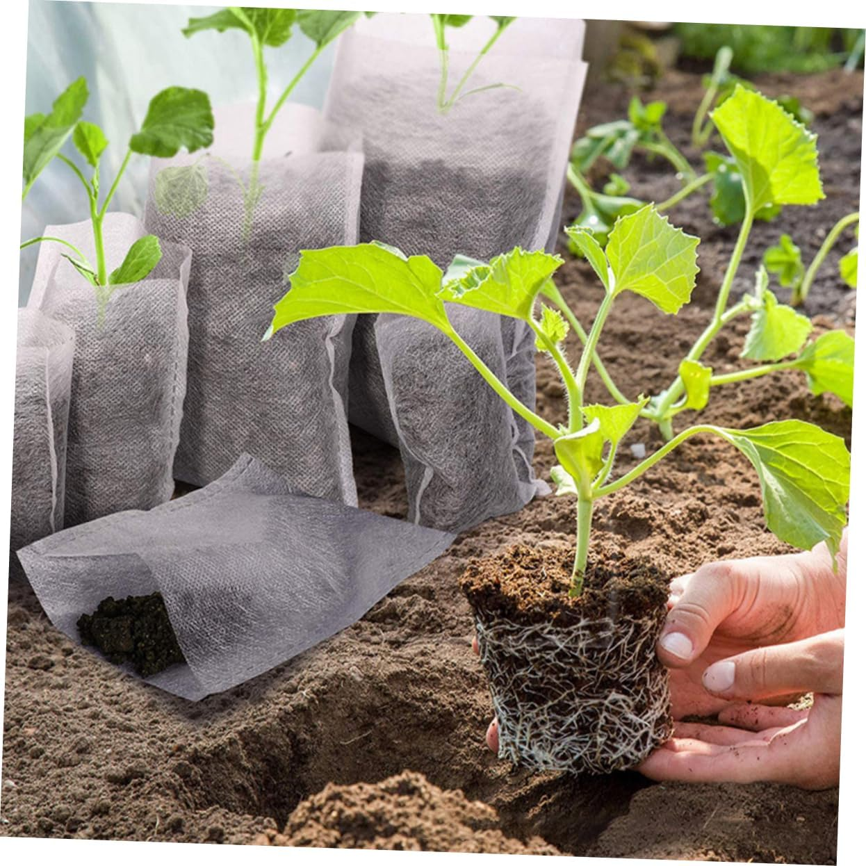 Grow Bags Set 209Pcs Fabric Planters for Plants Non-Woven Nursery Bags Versatile for Gardens