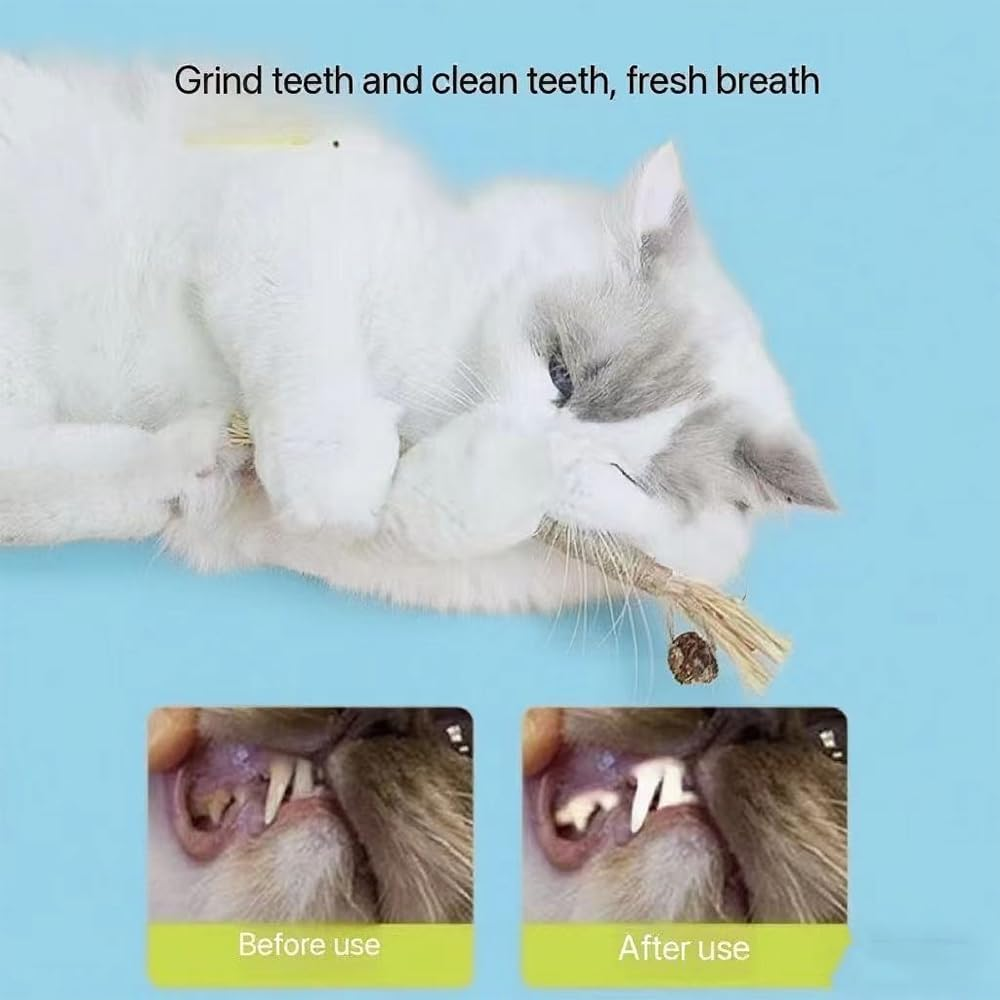 Silver Vine Stick Cat Toys, 6-Piece Set &ndash; Cat Molar Sticks for Indoor Self-Amusement and Boredom Relief, Bite-Resistant Mint Toys for Teeth Cleaning and Interactive Play image number 2