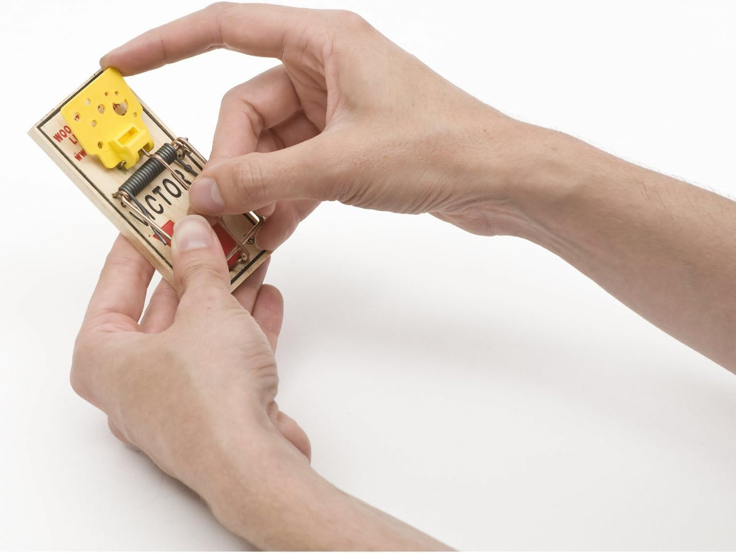 Victor Easy Set Mouse Traps (4 Pieces) - Pre-Bait Impact Traps with Large Release Pedal for Easy and Quick Mouse Control - Non-Toxic and Recyclable - Mod. M032 image number 4