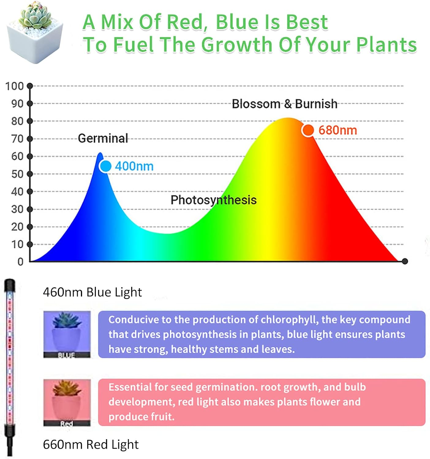 Grow Lights for Indoor Plants, Four Head LED Grow Light with Red & Blue Spectrum for Indoor Plant Growing Lamp, Adjustable Gooseneck, Suitable for Plants Growth (Adaptor NOT Included) image number 6