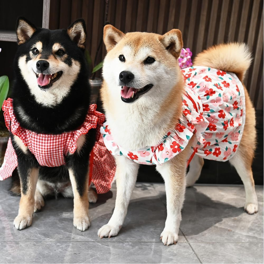 Dog Dress Dresses for Small Dogs Bow Cat Dress for Cat Only Dog Outfit Summer Puppy Clothes (Red, M) image number 5