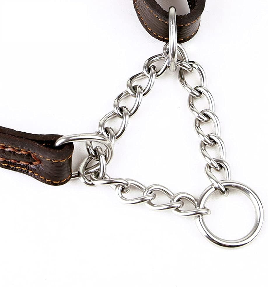 Love Dream Martingale Collars for Dogs, Leather Training Dog Collar, Stainless Steel Chain Anti-Escape No Pull Dog Collar for Medium Large Dogs (M(13.8"-18.9"), Brown) image number 4