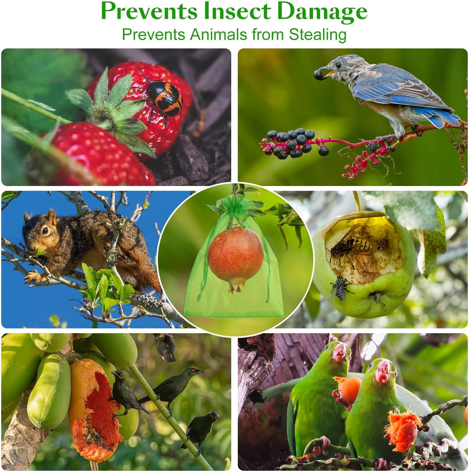 ZANZER 45 Pieces Fruit Protection Bags 3 Sizes Fruit Netting Bags for Fruit Trees Garden Netting Bags with Drawstring Fruit Cover Mesh Barrier Bag for Fruit Plant Flower image number 3