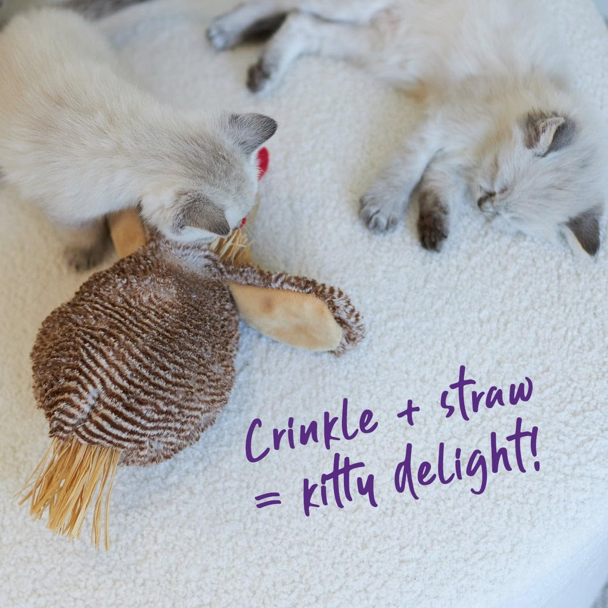 Kazoo Cheeky Chicken Cat Toy image number 6