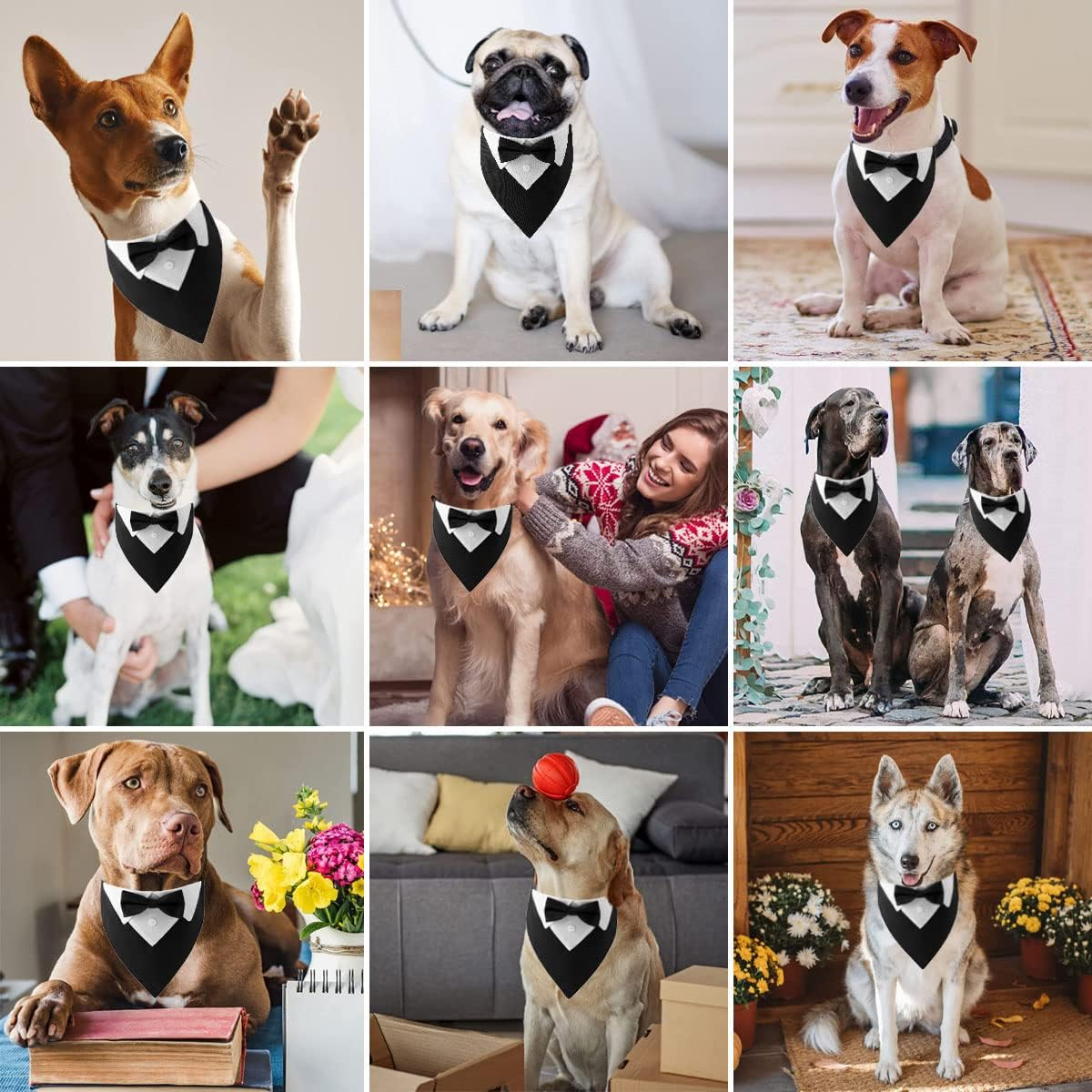 Formal Dog Tuxedo Wedding Dog Bandana Collar Birthday Puppy Costume with Bow Tie Adjustable Pet Bowtie Collar Bandana, Dog Party Tux Suit for Small Medium Large Dogs Cats, Christmas Dog Outfit (M) image number 6