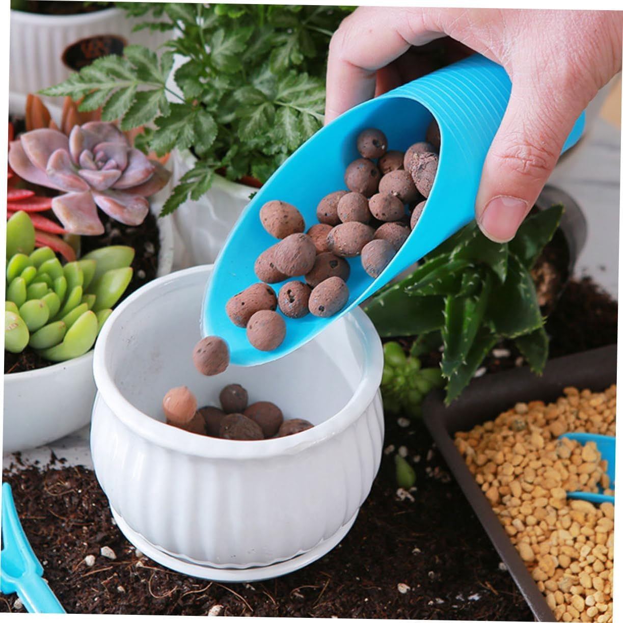 Toddmomy 1Set Garden Tool for Planting and Transplanting Gardening Accessories Includes Puncher and Scoop for Spaces and Care image number 6