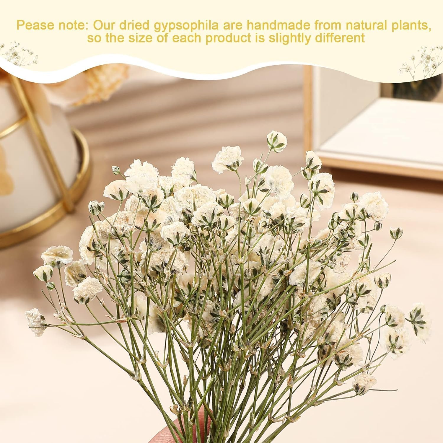 JCQMZB 100 Pcs Dried Babys Breath Flowers Bulk Ivory White Babys Breath Real Pressed Flowers Natural Gypsophila for Resin Wedding Art Craft DIY Invitations Scrapbooking Card