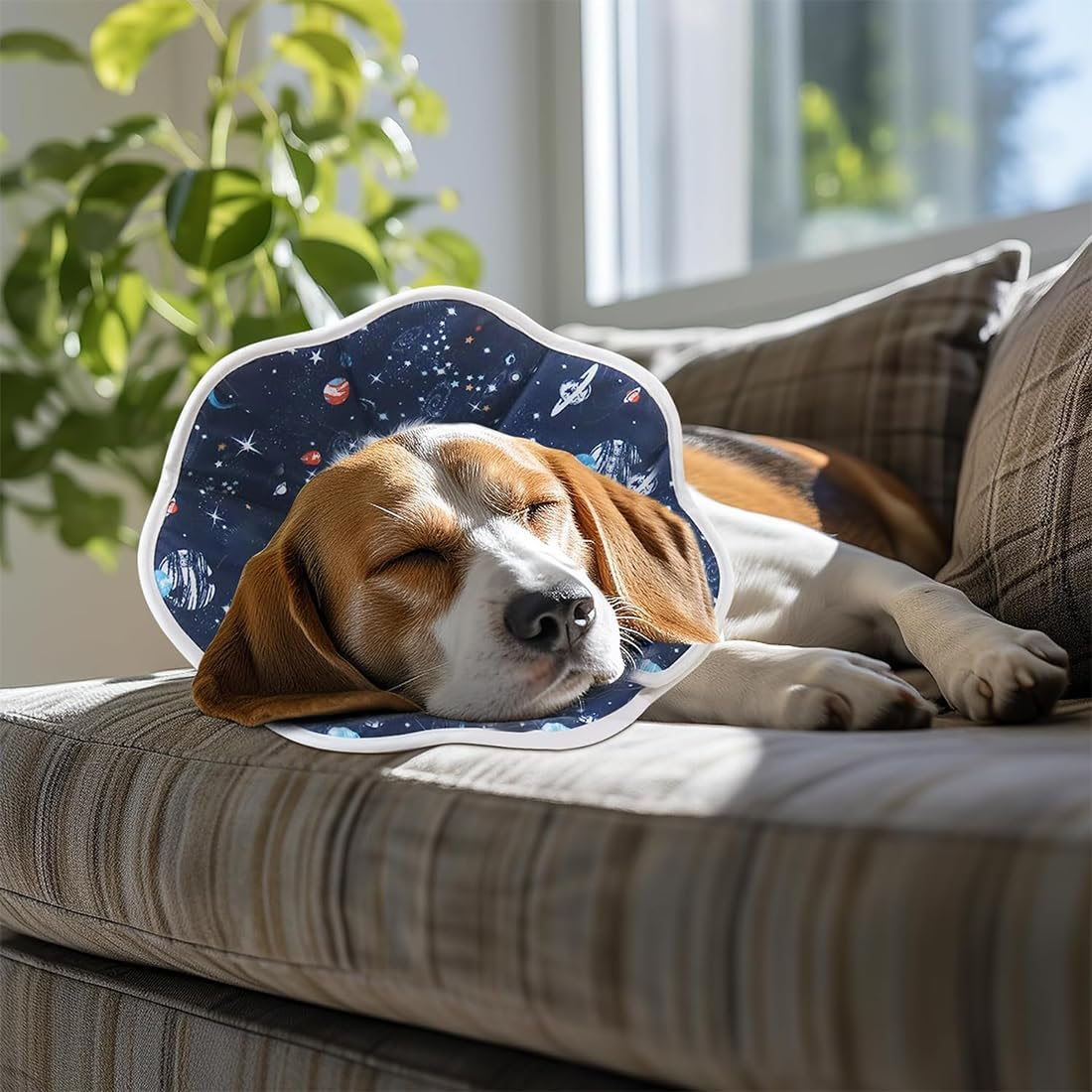 Collar for Cats and Dogs, Adjustable Collar, Soft Cone Recovery Protection for Pets after Surgery and Injuries, Blue (16-26 Cm) image number 2