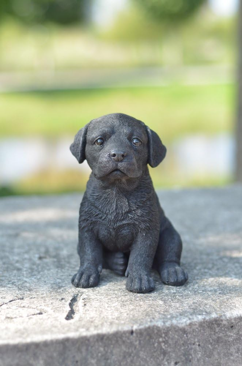 Hi-Line Gift Ltd Labrador Puppy Statue, Black image number 3