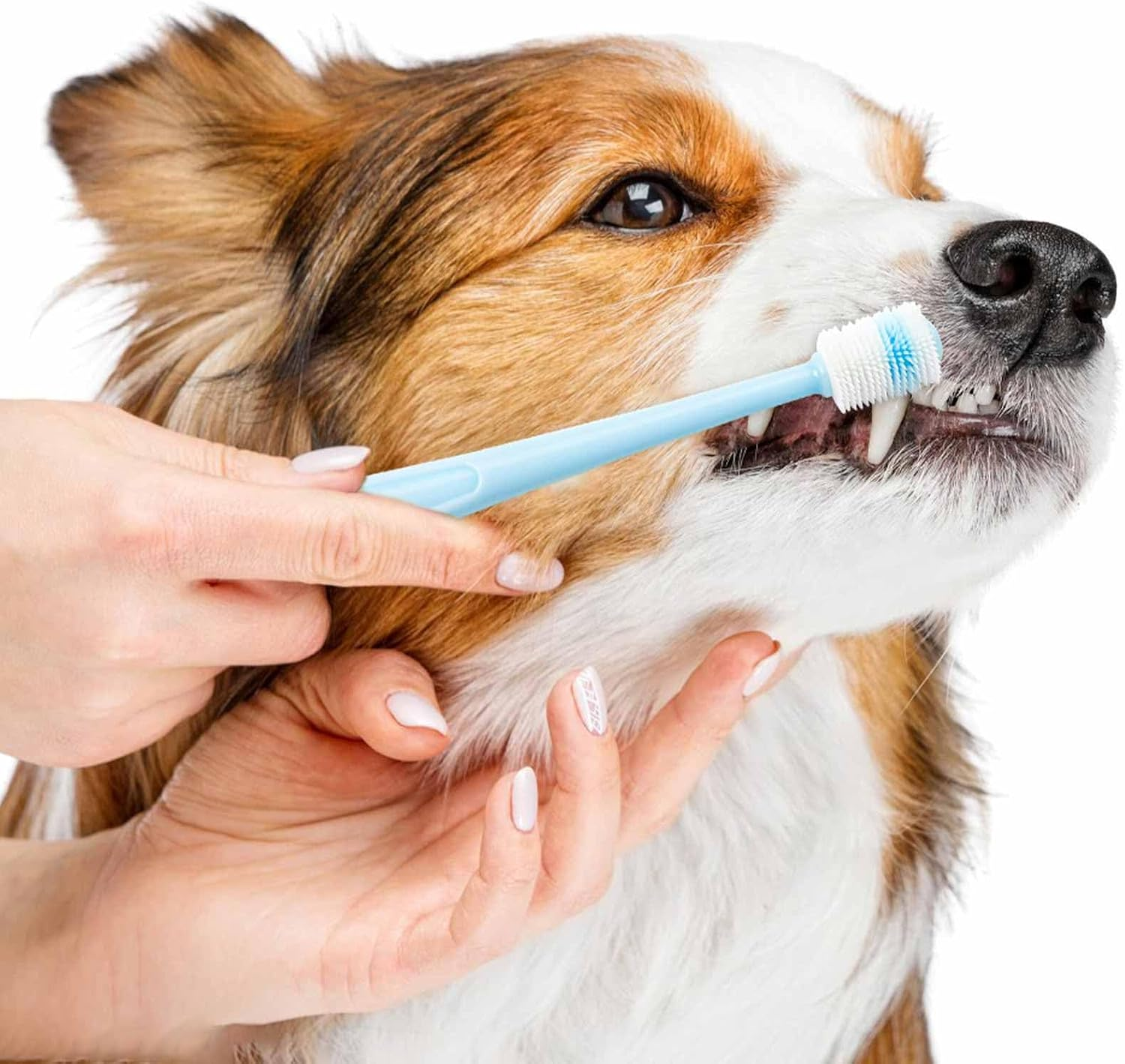 2 Pcs Small Dog Toothbrush Cat Tooth Brush 360 Degree Soft Silicone Pet Toothbrush Tiny Toothbrush Cat Dental Care Puppy Dogs Pet Tooth Cleaning Kit Deep Clean for Small Dog & Cat (Pink+Blue) image number 6