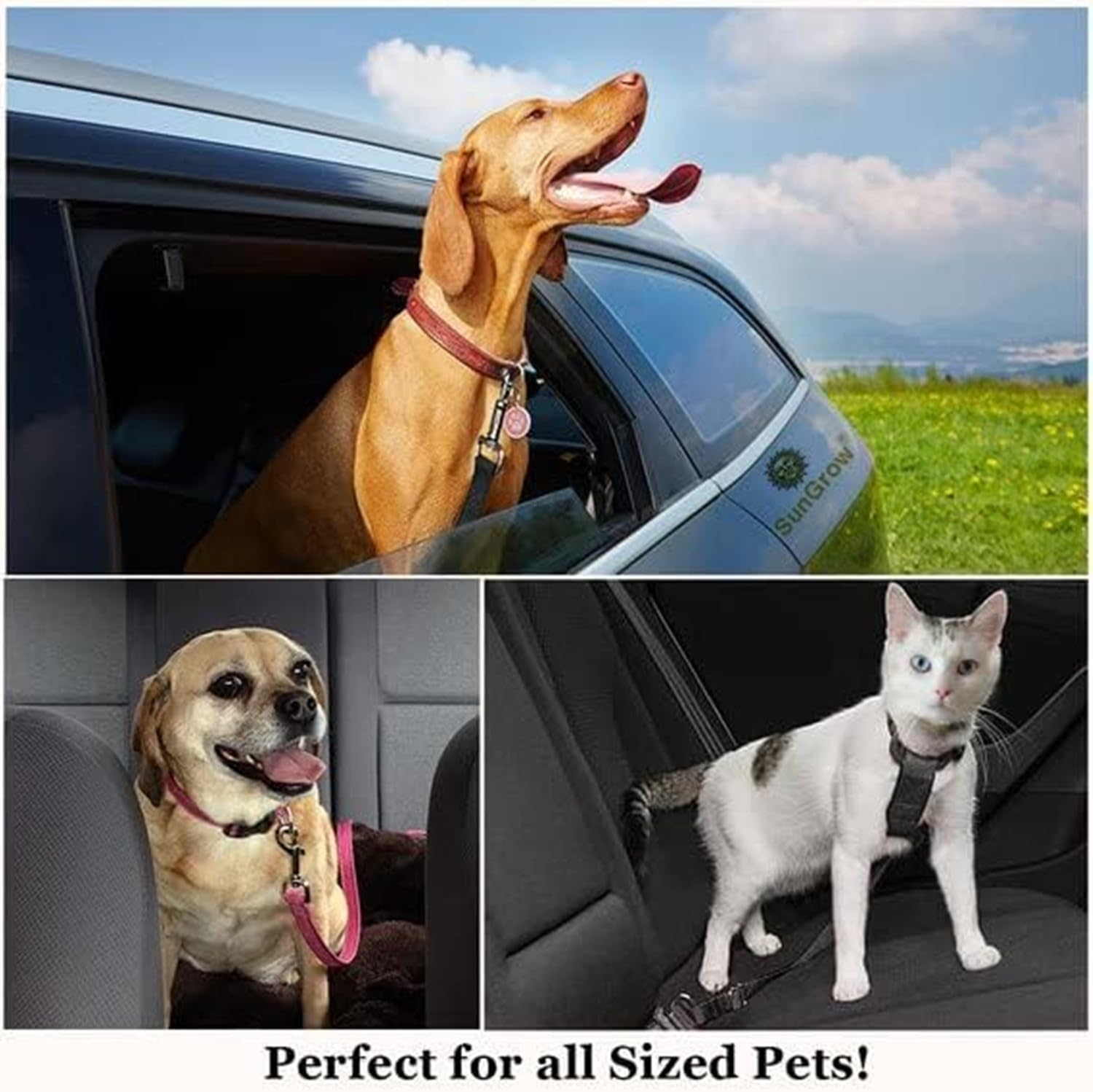 2 Pack Dog Seat Belt for Car, Adjustable Nylon Pet Seatbelt, Supports All Cars, Seatbelt for Dogs in Car, Dog Car Leash Seat Belt, Cats and Ferrets Seat Belt Harnesses image number 1