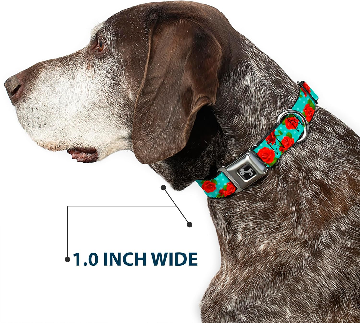 Buckle-Down Seatbelt Buckle Dog Collar - Red Roses/Polka Dots Turquoise - 1" Wide - Fits 11-17" Neck - Medium image number 6