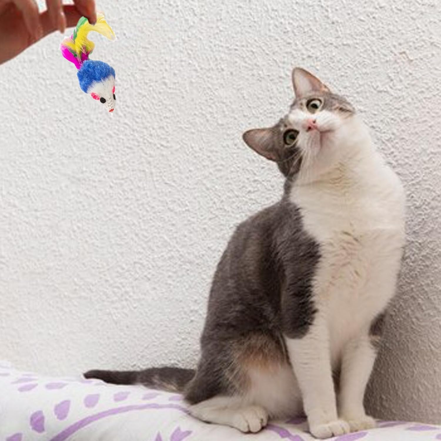 Cat Toys Set, 25 Pcs Kitten Toys for Indoor Cats, Interactive Feather Teaser, Fluffy Mouse, Crinkle Balls, Bells image number 2