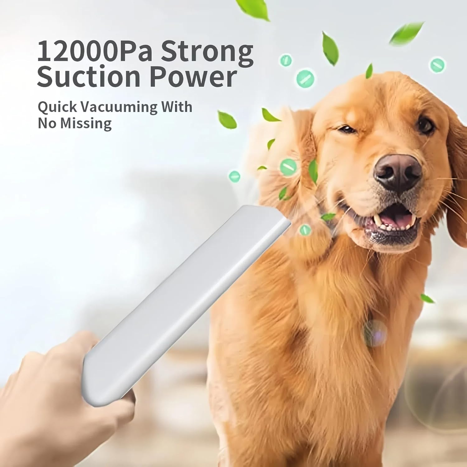 5-In-1 Pet Grooming Vacuum & Dog Grooming Clipper Kits &ndash; All-In-One Dog Hair Trimmer, Deshedder & Shedding Vacuum with 12000Pa Suction, 45Db Low Noise &ndash; Mess-Free Home Pet Grooming