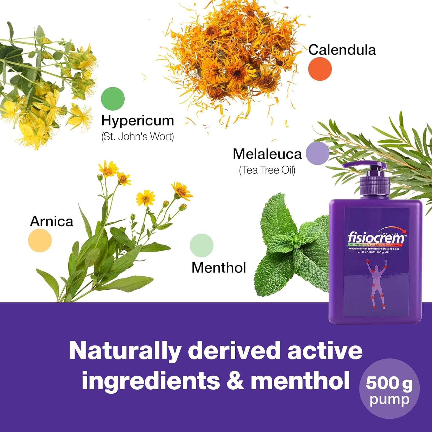 Fisiocrem Solugel 500G &ndash; Muscle Pain Relief Gel with Naturally Derived Active Ingredients of Arnica, Calendula, Hypericum, Melalecua & Menthol, Soothes Sprains, Strains & Sore Muscles, Non-Greasy, Easily Absorbed