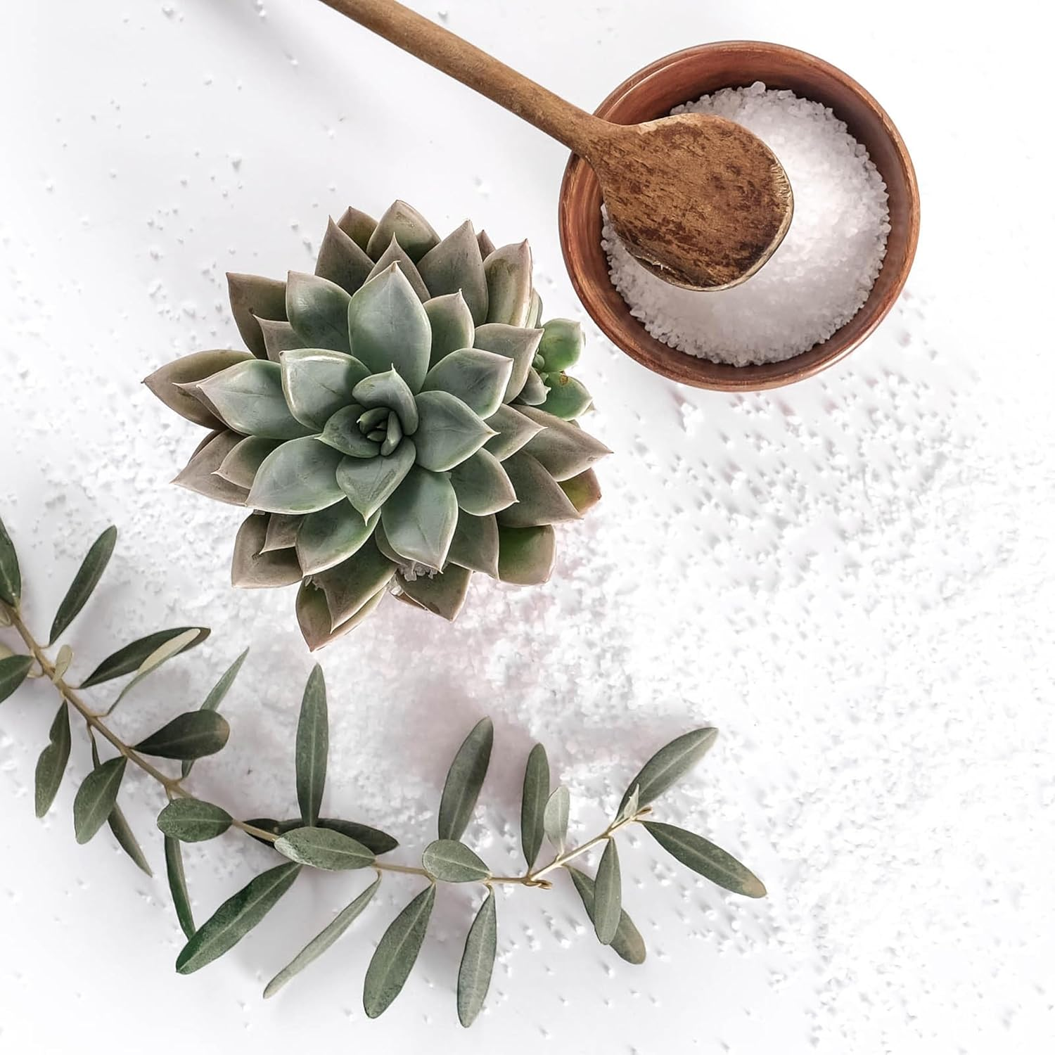 Alma K, Crystal Dead Sea Nourishing Mineral Bath Salts, Restores Softness Rich Hydration Removes Dead Skin Cells, 500G image number 6