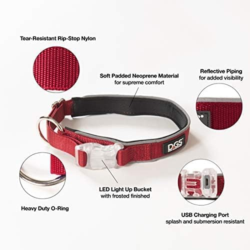 Dog Gone Smart Pet Products Rechargeable LED Light up Comet Dog Collar, Red, Large, 18"-25" (DGSLGUC5106) image number 2