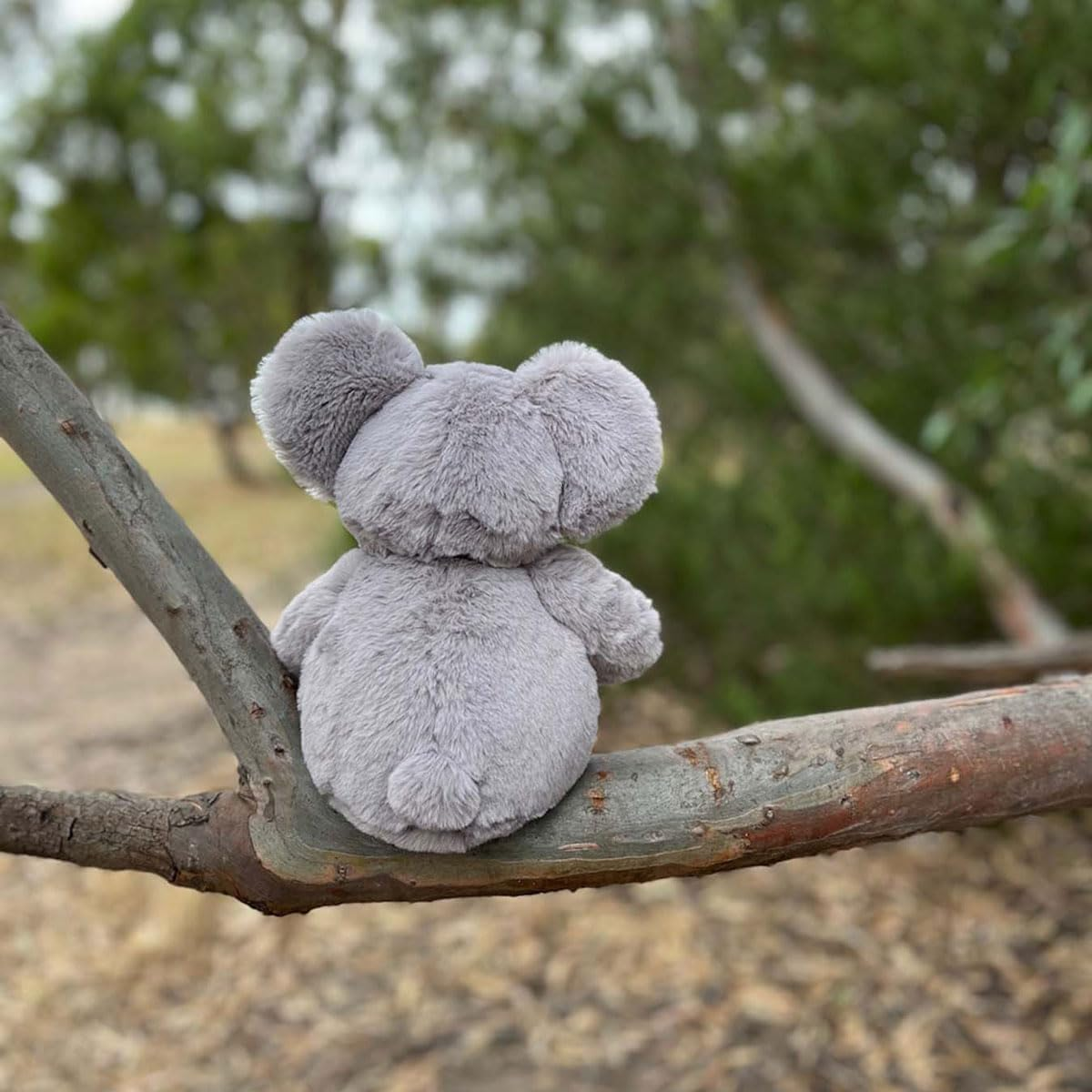 Koala Plush Toy, 25Cm, Ages 0+ image number 6