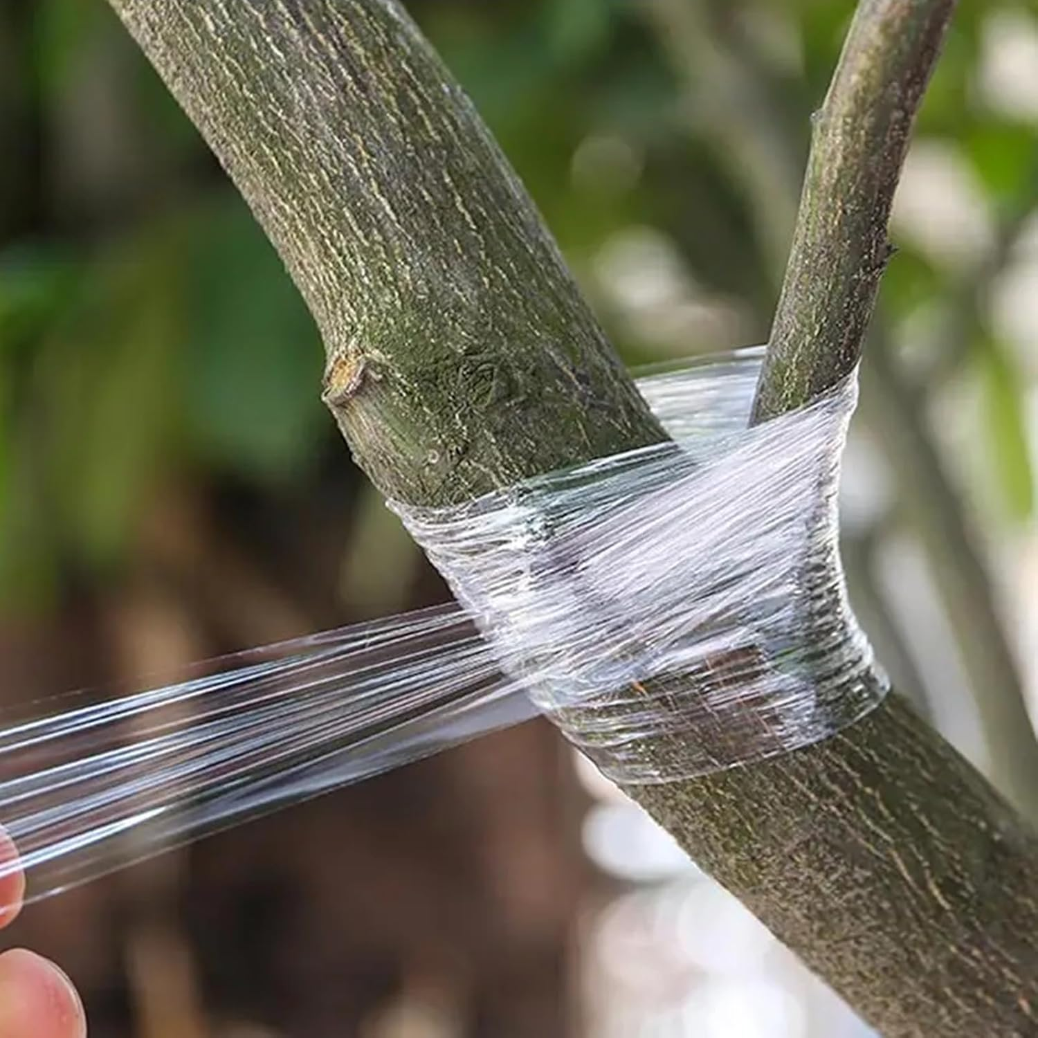 PVC Fruit Tree Parafilm Grafting Tape Nursery Buddy Tape Grafting Garden Secateurs Engraft Branch Gardening Tool 2Cmx100M Green image number 5