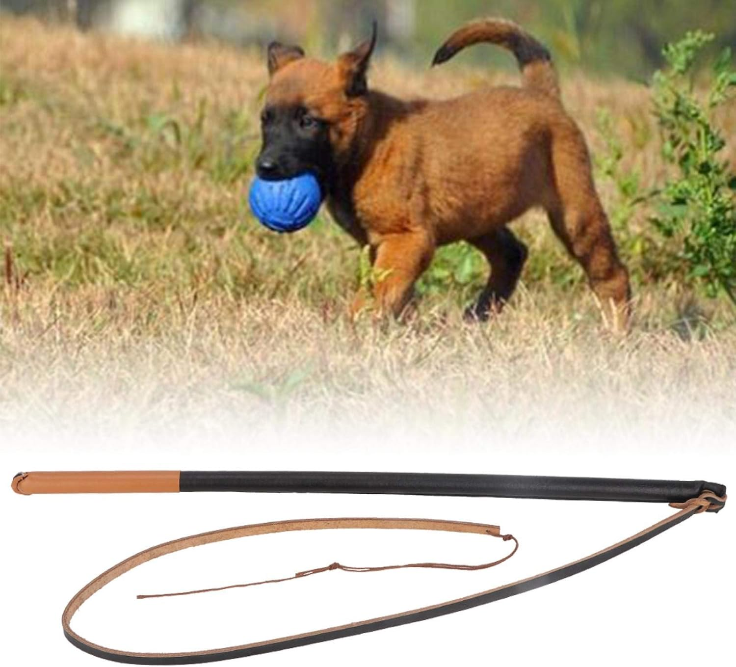 Dog Training Whip Leather, Interactive Toy, Protect Pet Leashes for Medium Large Dog, Dog Exercise Equipment image number 6