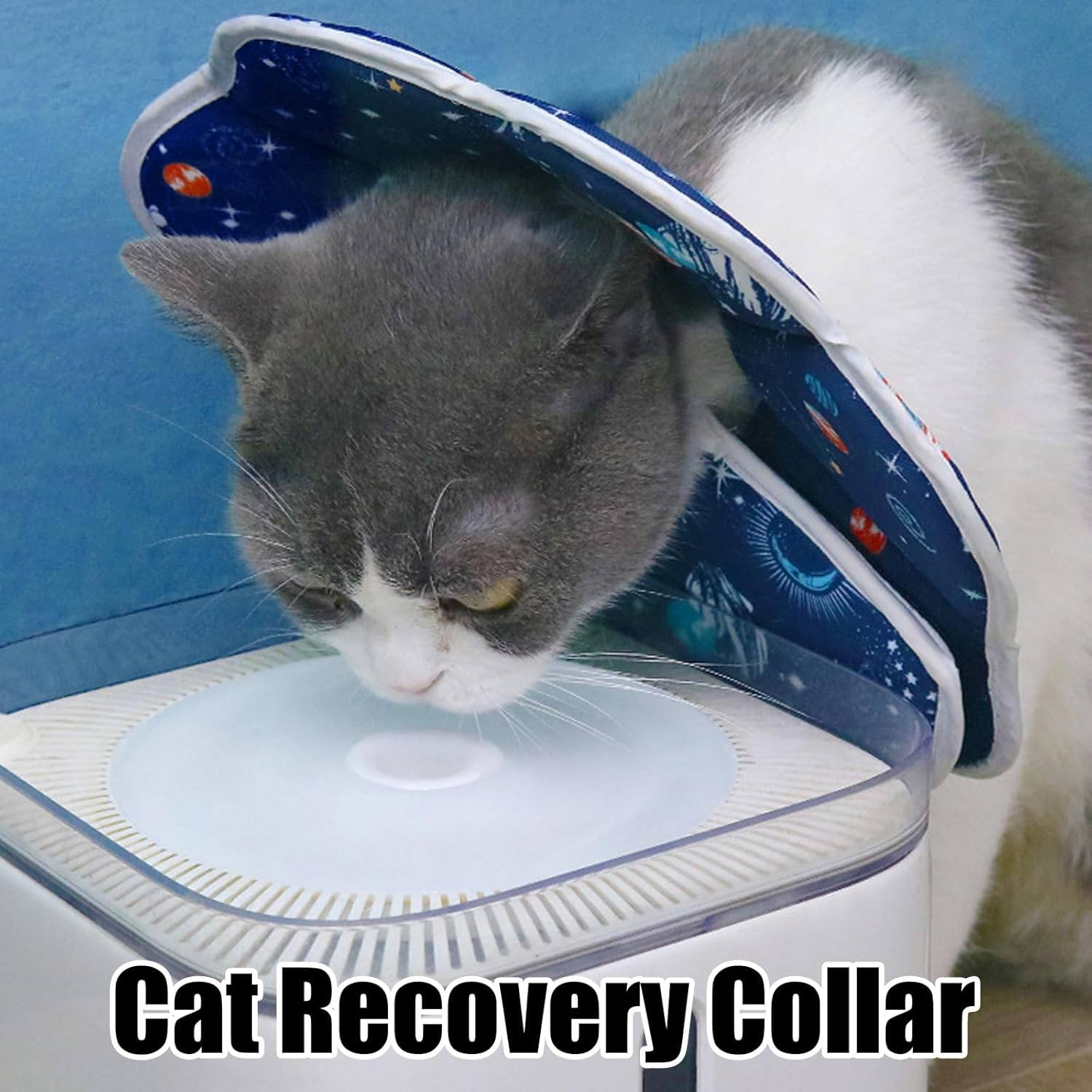 Adjustable Cat Collar, Soft Foldable, 19-25Cm Collar, M image number 4