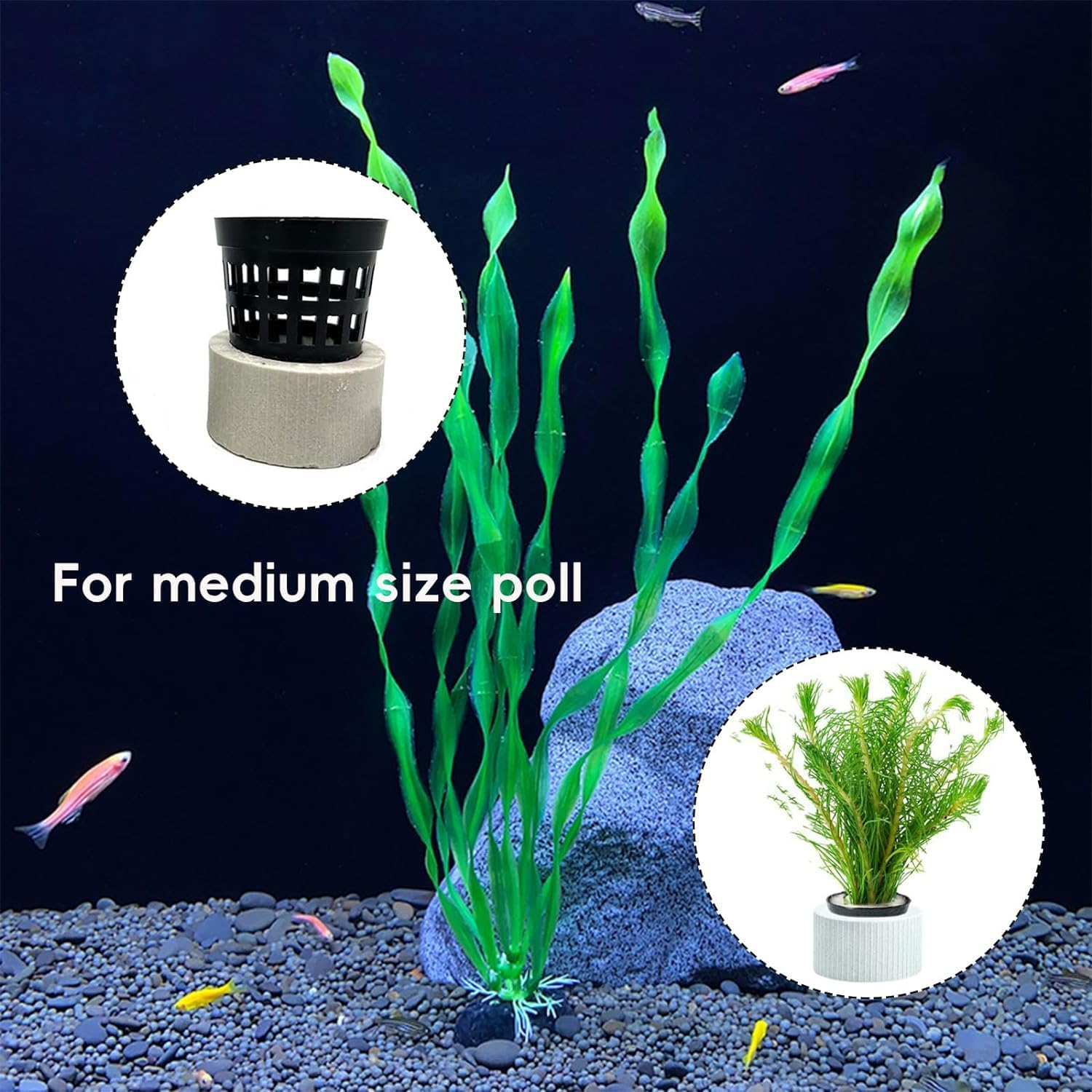Aquarium Planting Baskets Rings,15 Pcs Aquatic Plants Fixed Ring Set, Aquatic Plant Planting Basket Flower Pots anti Floating Plant Ring and Cup,Aquatic Plants Fixed Ring Fish Tank Planting Cups image number 5