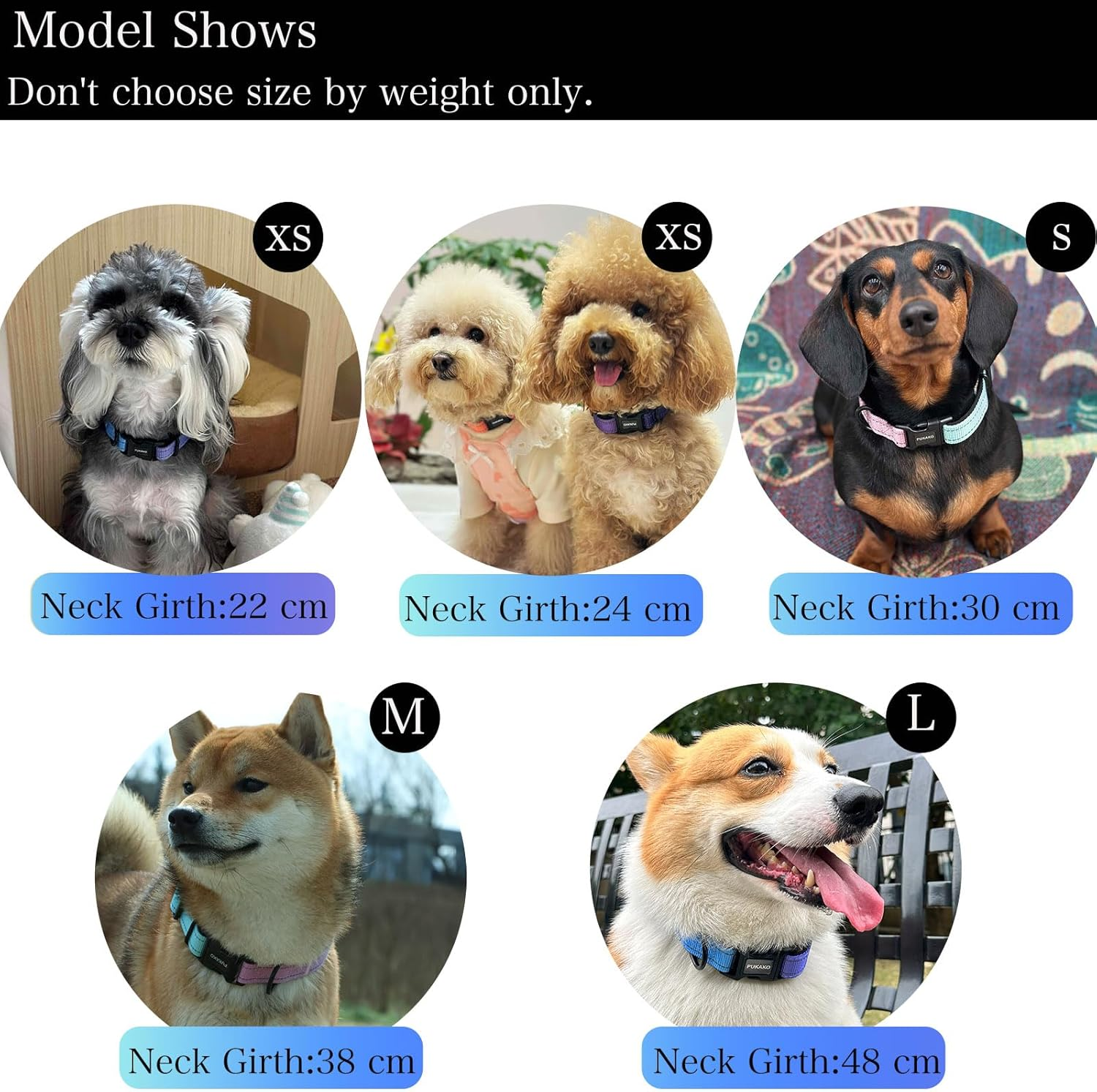 PUKAKO Reflective Dog Collar, Adjustable Soft Neoprene Padded Nylon Pet Collars with Buckle for Small Medium Large Dogs Girl, Blue Gradient, L image number 5