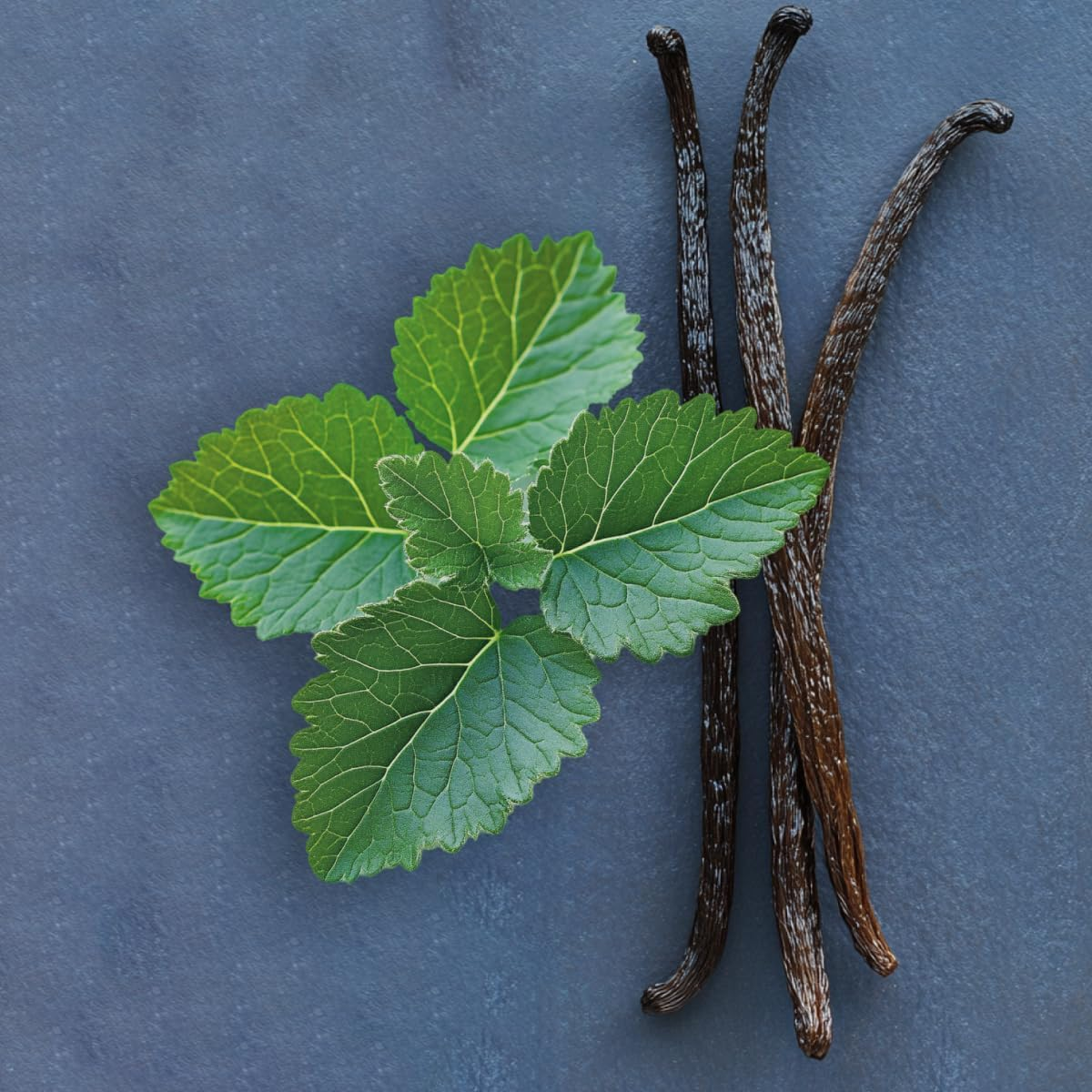 Elie Saab Women'S Royal Eau De Parfum Spray 90 Ml image number 2