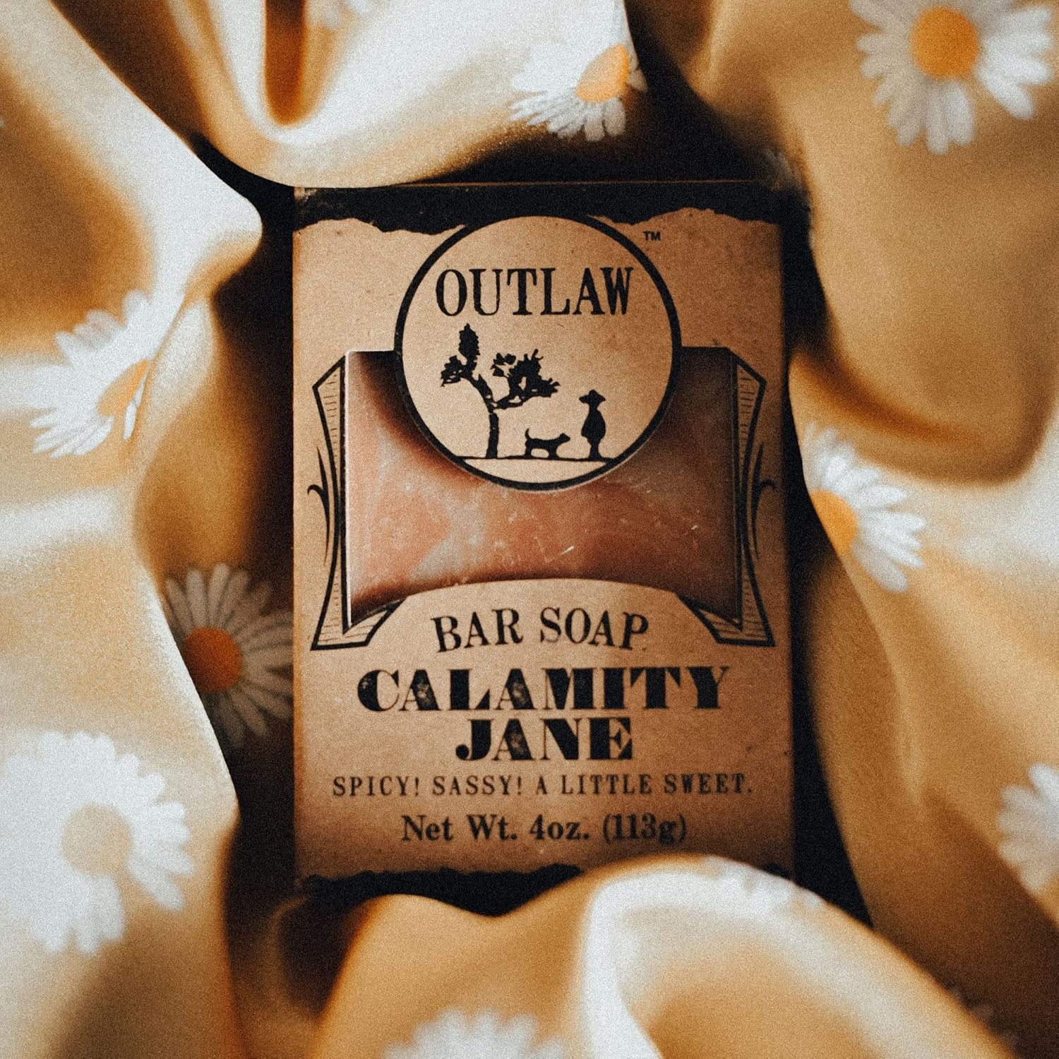 Calamity Jane Spicy Soap - 2 Pack - a Spicy Combination of Clove, Cinnamon, Vanilla, and Orange Handmade Soap to Honor a Spicy Legend of the Wild West - Men'S or Women'S Soap