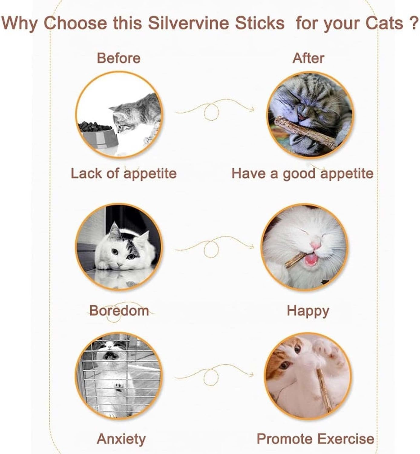 Natural Silvervine Stick Cat Chew Toy - Safe and Fun Dental Treat for Cats/206 image number 3