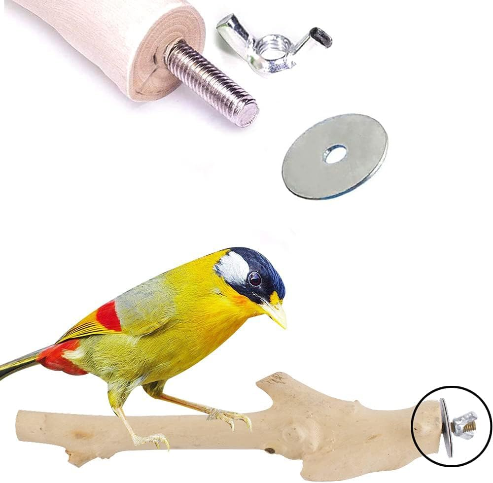 THJOPOKEEL 12 Set Bird Cage Feeder Stand Perches Accessories Hardware - 12Pcs Wing Nut 12Pcs Set Screw and 12Pcs Flat Washer Hamster Board Pole Fixing Breeding Box Screws image number 5