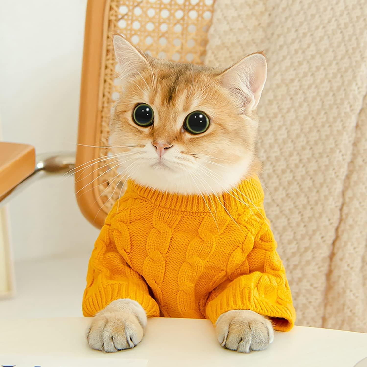 Small Dog Cat Sweaters, Puppy Jumper Sweater Warm Pullover Fleece Dog Jacket Winter Dog Clothes Cute Soft Turtleneck Knitted Classic Twist Striped Clothes for Small Medium Dogs Cat (Yellow, Large) image number 1