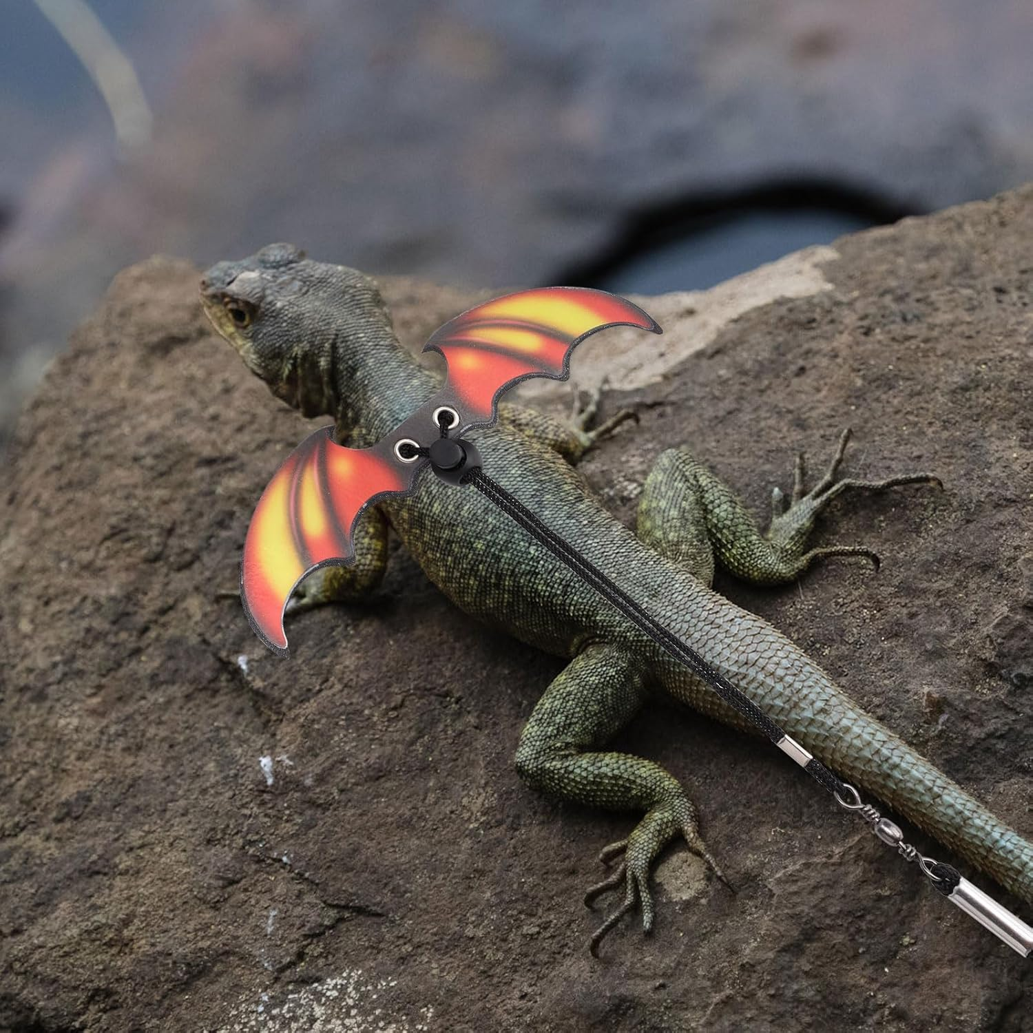 Bearded Dragon Leash and Harness Set, Adjustable Reptile Harness and Leash Cool Bearded Dragon Accessories for Small Pet Animals Reptile Outdoor Safety Walking image number 2