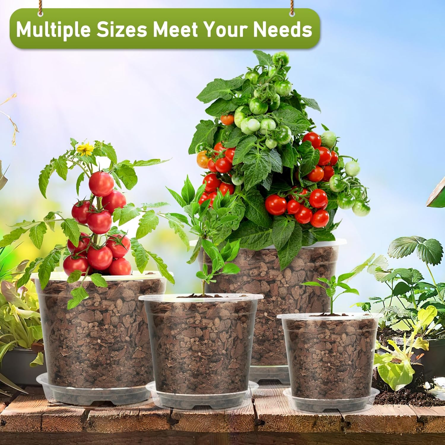 TAQIXI 3/4/5/6 Inch Clear Nursery Pots with Drainage Holes and Saucers, 20 Pack Clear Plastic Plant Pot, Plant Pot Seed Starter Pots for Succulents image number 5