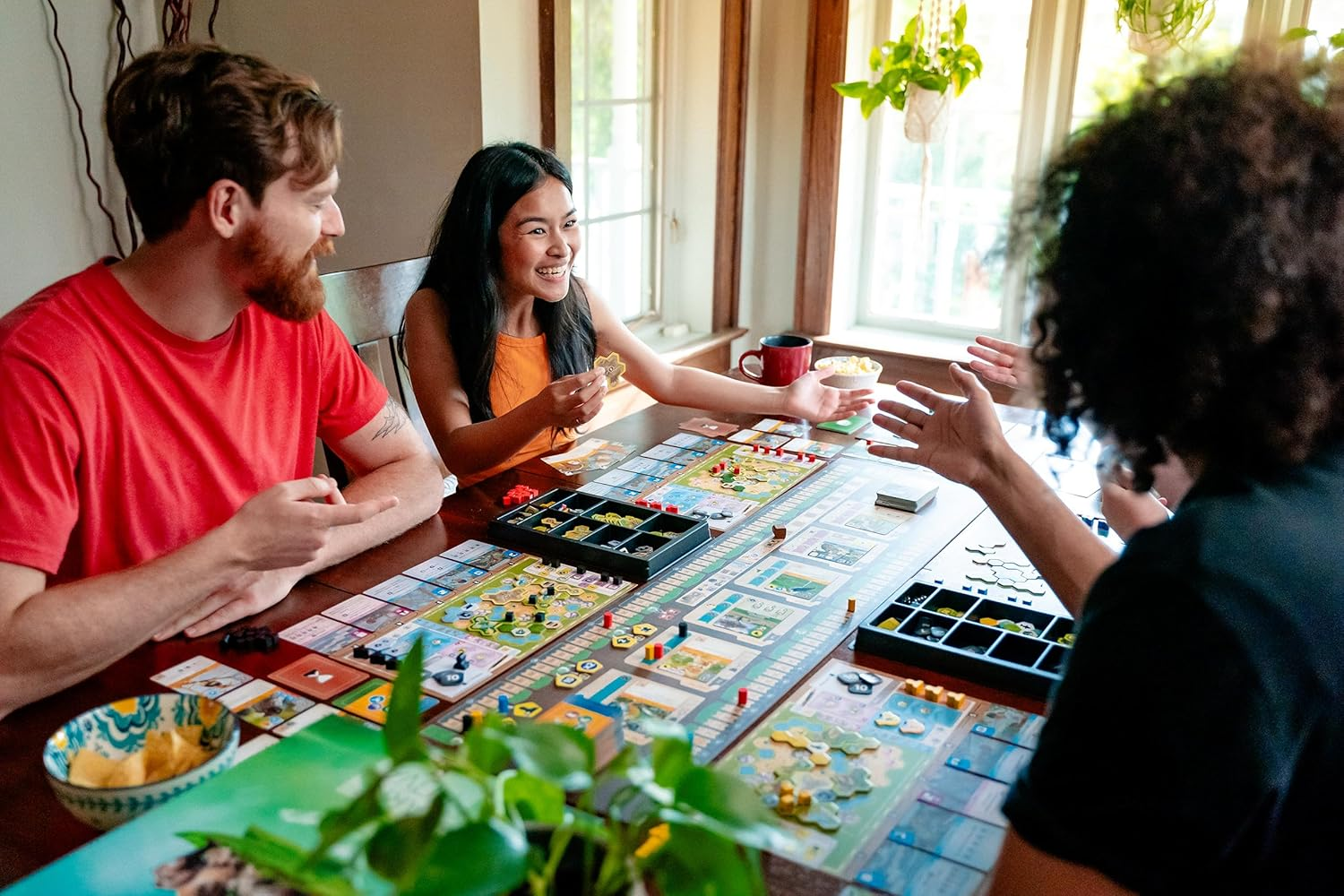 Capstone Games Ark Nova: Zoo Map Pack 2 Board Game image number 1