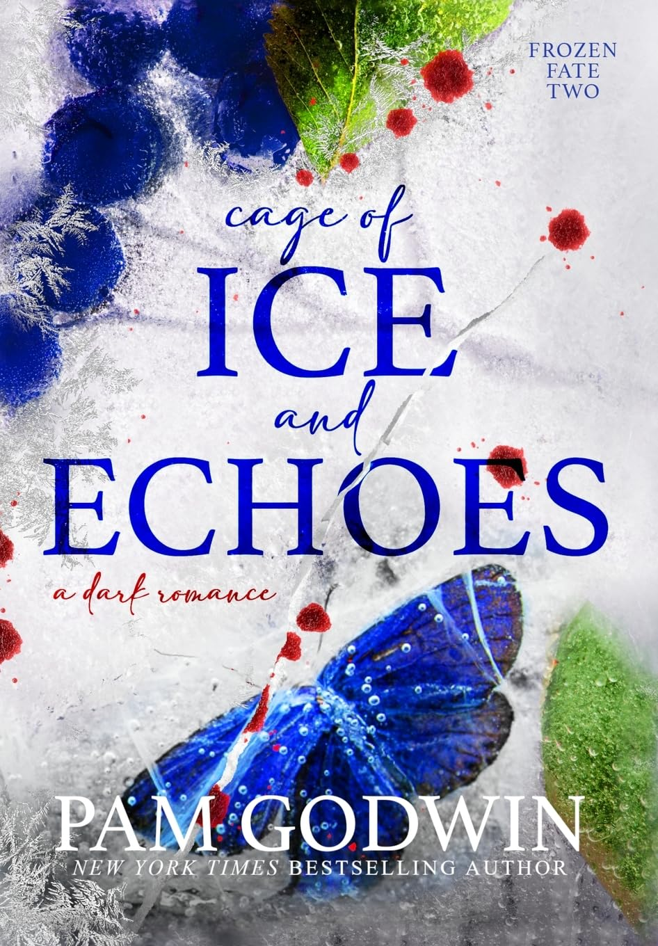 Cage of Ice and Echoes image number 2