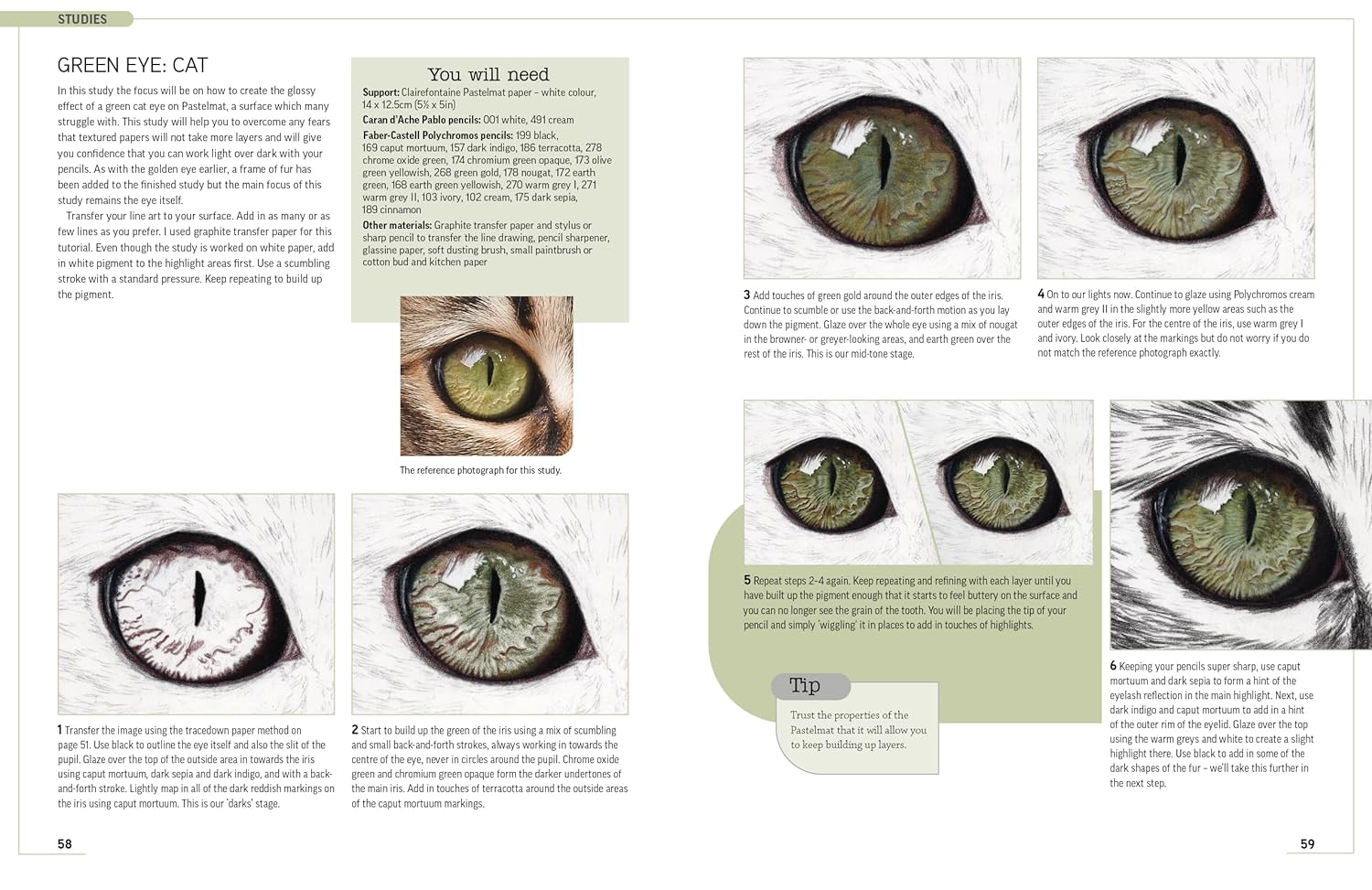 Drawing Animal Portraits in Coloured Pencil image number 2