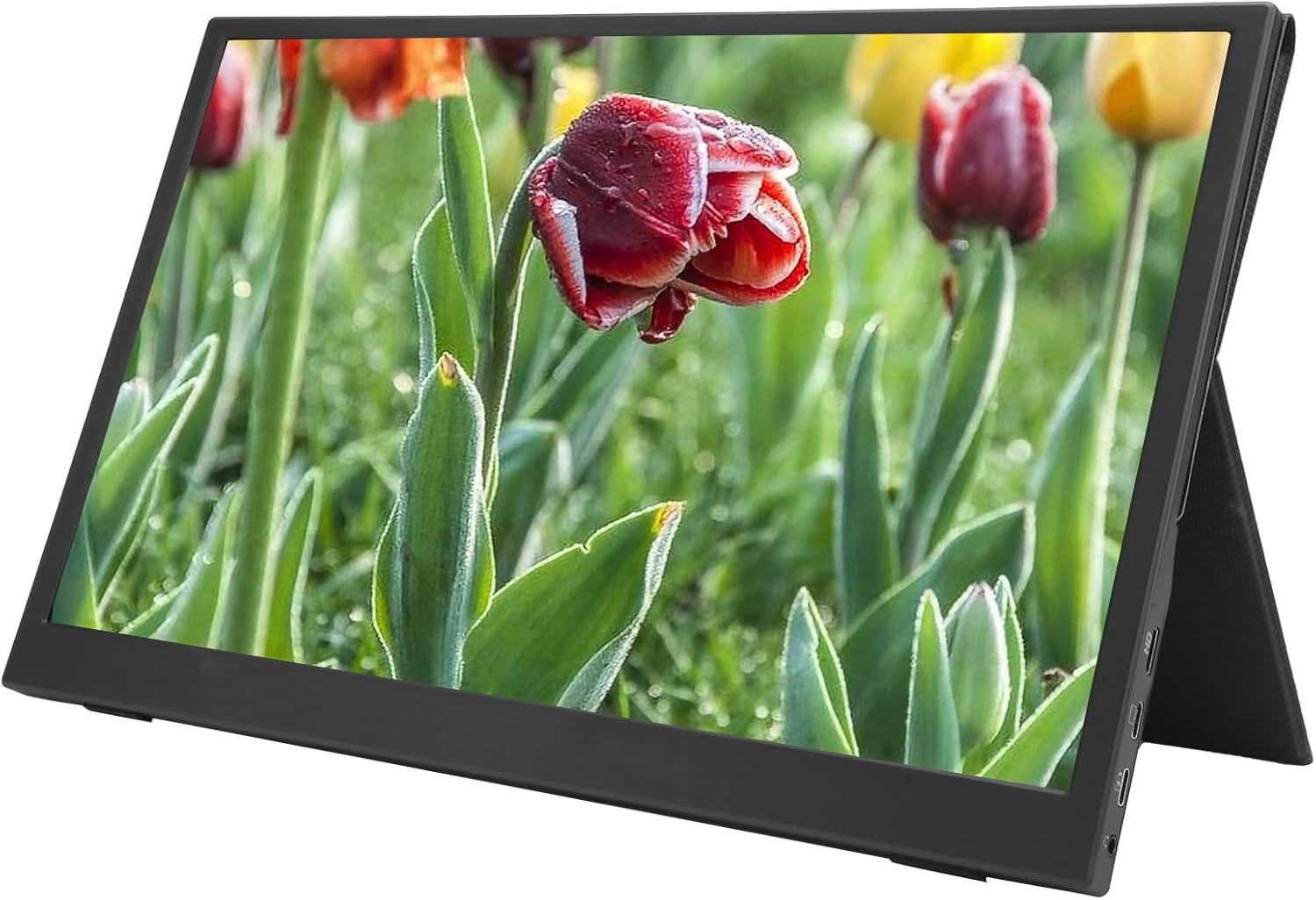 15.6" IPS Monitor 1080P HDR 1920X1080 16:9 300Cd/M2 Ultrathin Portable Gaming Display for PS/NS with Type-C Micro USB 3.5Mm Split Screen Function image number 6