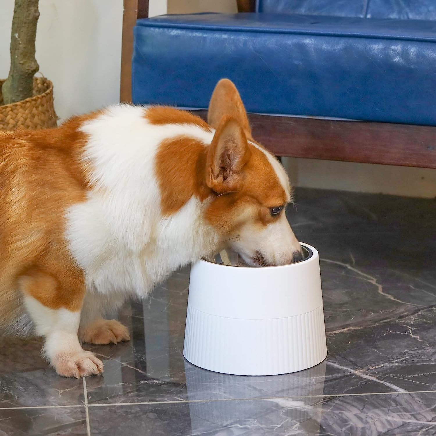 Comsaf Raised Dog Bowl 450Ml, Single Elevated Dog Food Bowl with Detachable Melamine Stand, Dog Water Bowl for Dogs and Cats, Non-Skid & Non-Spill, Easier to Reach Food, White image number 6