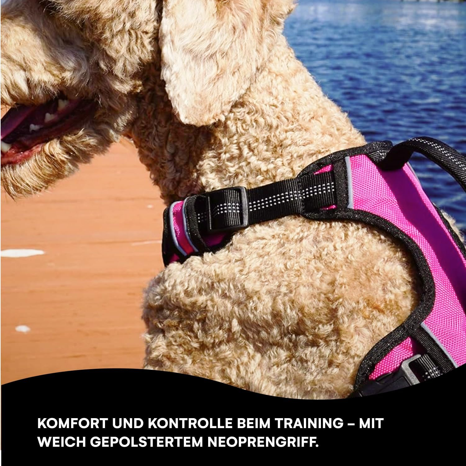 Black Rhino - the Comfort Dog Harness with Mesh Padded Vest for Small - Large Breeds | Adjustable | Reflective | 2 Leash Attachments on Chest & Back - Neoprene Padded Training Handle (Medium, Pink/Bl) image number 2